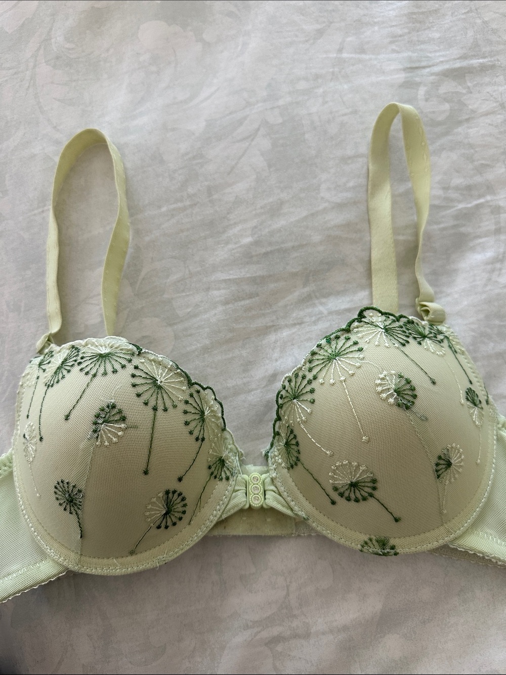 Light Green Embroidered Floral Push-Up Bra